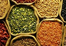 Baklagil proteini, son yıllarda sağlıklı yaşam ve bitki temelli beslenme trendlerinin yükselmesiyle birlikte daha fazla ilgi gören besin unsurlarından biri haline gelmiştir. Mercimek, nohut, fasulye ve bezelye gibi baklagillerden elde edilen bu protein türü, hem doğal yapısı hem de besleyici içeriğiyle dikkat çekmektedir. Hayvansal proteinlere alternatif arayan bireyler için baklagil proteini, dengeli ve sürdürülebilir bir beslenme anlayışının önemli bir parçası olarak öne çıkmaktadır. Konulu bir haber görseli.