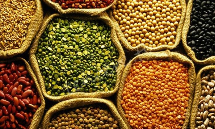 Baklagil proteini, son yıllarda sağlıklı yaşam ve bitki temelli beslenme trendlerinin yükselmesiyle birlikte daha fazla ilgi gören besin unsurlarından biri haline gelmiştir. Mercimek, nohut, fasulye ve bezelye gibi baklagillerden elde edilen bu protein türü, hem doğal yapısı hem de besleyici içeriğiyle dikkat çekmektedir. Hayvansal proteinlere alternatif arayan bireyler için baklagil proteini, dengeli ve sürdürülebilir bir beslenme anlayışının önemli bir parçası olarak öne çıkmaktadır. Konulu bir haber görseli.