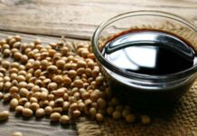 Soya, günümüz dünyasında hem gıda hem de sanayi alanında stratejik bir konuma sahip olan en önemli tarım ürünlerinden biri olarak öne çıkıyor. Yüksek protein içeriği, çok yönlü kullanım alanı ve küresel ticaretteki payıyla dikkat çeken Soya, yalnızca bir baklagil değil; aynı zamanda modern beslenme ve endüstriyel üretimin temel taşlarından biri olarak kabul ediliyor. Hayvan yeminden bitkisel yağlara, et alternatiflerinden biyoyakıta kadar uzanan geniş bir kullanım yelpazesi, soyanın değerini her geçen gün daha da artırıyor. Konulu bir haber görseli.