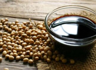 Soya, günümüz dünyasında hem gıda hem de sanayi alanında stratejik bir konuma sahip olan en önemli tarım ürünlerinden biri olarak öne çıkıyor. Yüksek protein içeriği, çok yönlü kullanım alanı ve küresel ticaretteki payıyla dikkat çeken Soya, yalnızca bir baklagil değil; aynı zamanda modern beslenme ve endüstriyel üretimin temel taşlarından biri olarak kabul ediliyor. Hayvan yeminden bitkisel yağlara, et alternatiflerinden biyoyakıta kadar uzanan geniş bir kullanım yelpazesi, soyanın değerini her geçen gün daha da artırıyor. Konulu bir haber görseli.