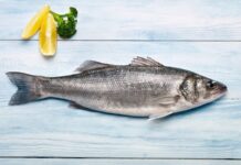 Deniz balıkları, hem beslenme kültürünün hem de sağlıklı yaşam anlayışının en önemli unsurlarından biri olarak öne çıkıyor. Yüzyıllardır kıyı toplumlarının temel gıda kaynağı olan balık, günümüzde de protein ihtiyacını karşılayan doğal ve değerli bir besin olarak kabul ediliyor. Özellikle deniz balıkları, tatlı su balıklarına kıyasla besin değeri ve yağ profili açısından farklı özellikler taşıyor. Konulu bir haber görseli.