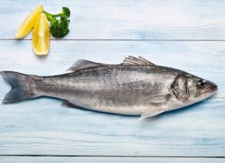 Deniz balıkları, hem beslenme kültürünün hem de sağlıklı yaşam anlayışının en önemli unsurlarından biri olarak öne çıkıyor. Yüzyıllardır kıyı toplumlarının temel gıda kaynağı olan balık, günümüzde de protein ihtiyacını karşılayan doğal ve değerli bir besin olarak kabul ediliyor. Özellikle deniz balıkları, tatlı su balıklarına kıyasla besin değeri ve yağ profili açısından farklı özellikler taşıyor. Konulu bir haber görseli.