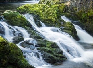 Doğal kaynak suyu, yeryüzünün derinliklerinden süzülerek gelen ve hiçbir kimyasal işlem görmeden insan tüketimine sunulan en saf içeceklerden biri olarak kabul ediliyor. Günümüzde sağlıklı yaşam bilincinin artmasıyla birlikte doğal kaynak suyu, yalnızca susuzluğu gidermek için değil, vücudun günlük ihtiyaçlarını destekleyen temel bir unsur olarak görülüyor. Yer altı katmanlarından geçerken mineral kazanması, bu suyu sıradan içme sularından ayıran en önemli özellikler arasında yer alıyor. Konulu bir haber görseli.