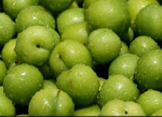 Erik, bahar aylarının sonu ve yazın başlangıcıyla birlikte pazarlarda kendini göstermeye başlayan, ekşi ile tatlı arasındaki dengesiyle öne çıkan özel bir meyve olarak dikkat çekiyor. Özellikle mevsimin ilk ürünleri arasında yer alan erik, tazeliği ve ferahlatıcı tadıyla sofralarda farklı bir heyecan yaratıyor. Türkiye’de geniş bir üretim alanına sahip olan erik, hem geleneksel tüketim alışkanlıklarında hem de modern beslenme anlayışında önemli bir yer tutuyor. Konulu bir haber görseli.