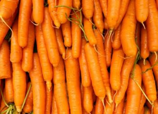 Sebze dünyasının en tanınan üyelerinden biri olan havuç, hem besleyici içeriği hem de mutfakta sunduğu çok yönlü kullanım alanlarıyla her dönemde ilgi görmeye devam ediyor. Parlak turuncu rengiyle tezgâhlarda hemen fark edilen havuç, salatalardan çorbalara, ana yemeklerden tatlılara kadar pek çok tarifte kendine yer buluyor. Özellikle sağlıklı yaşam trendlerinin yükselmesiyle birlikte havuç tüketimi, son yıllarda belirgin bir artış göstermiş durumda. Konulu bir haber görseli.