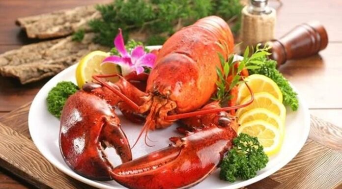 Istakoz Lezzetiyle Deniz Ürünleri Pazarında Yükselişte Deniz ürünleri denildiğinde akla gelen en prestijli seçeneklerden biri olan ıstakoz, hem gurme mutfakların hem de lüks restoranların vazgeçilmezleri arasında yer alıyor. Son yıllarda artan gastronomi merakı ve dünya mutfağına olan ilgiyle birlikte ıstakoz tüketimi de dikkat çekici biçimde yükselmiş durumda. Özellikle özel günlerde ve seçkin davet sofralarında tercih edilen bu deniz ürünü, lezzeti kadar görsel sunumuyla da öne çıkıyor. Konulu bir haber görseli.
