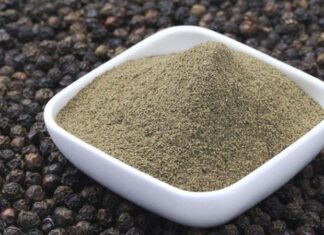 Karabiber, dünya mutfaklarının vazgeçilmez baharatlarından biri olarak hem lezzeti hem de tarihsel değeriyle dikkat çeker. Yüzyıllardır ticaret yollarının merkezinde yer alan karabiber, sadece bir tatlandırıcı değil, aynı zamanda kültürler arası etkileşimin de önemli bir parçası olmuştur. Günümüzde hemen her mutfakta bulunan bu baharat, geçmişte altınla yarışacak kadar değerli kabul edilmiştir. Konulu bir haber görseli.