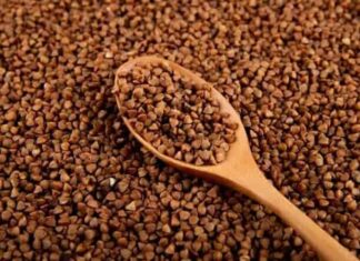 Son yıllarda beslenme alışkanlıklarında yaşanan dönüşüm, geleneksel ürünlerin yeniden keşfedilmesini sağladı. Bu ürünlerin başında gelen karabuğday tüketimi, özellikle sağlıklı yaşam ve dengeli beslenme arayışında olan bireylerin dikkatini çekiyor. Tahıl olarak bilinse de aslında farklı bir bitki grubuna ait olan karabuğday, doğal yapısı ve kullanım çeşitliliğiyle mutfaklarda giderek daha fazla yer buluyor. Konulu bir haber görseli.