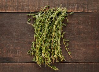 Kekik, doğanın sunduğu en güçlü aromalardan birine sahip bitkiler arasında yer alır. Yüzyıllardır hem mutfak kültüründe hem de geleneksel kullanım alanlarında kendine sağlam bir yer edinen kekik, özellikle Akdeniz coğrafyasıyla özdeşleşmiş bir bitkidir. Keskin kokusu ve yoğun tadı sayesinde az miktarla bile yemeklerin karakterini değiştirebilen bu bitki, geçmişten günümüze değerini korumayı başarmıştır. Konulu bir haber görseli