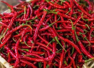 Kırmızı biber, mutfak kültürünün en dikkat çekici ve en yaygın kullanılan ürünlerinden biri olarak hem rengi hem de aromasıyla öne çıkar. Tatlıdan acıya uzanan geniş lezzet skalası sayesinde kırmızı biber, farklı damak zevklerine hitap edebilen nadir gıda ürünleri arasında yer alır. Dünya mutfaklarında önemli bir yere sahip olan bu ürün, sadece yemeklere tat katmakla kalmaz, aynı zamanda görsel açıdan da sofralara canlılık kazandırır. Konulu bir haber görseli.