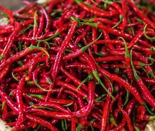 Kırmızı biber, mutfak kültürünün en dikkat çekici ve en yaygın kullanılan ürünlerinden biri olarak hem rengi hem de aromasıyla öne çıkar. Tatlıdan acıya uzanan geniş lezzet skalası sayesinde kırmızı biber, farklı damak zevklerine hitap edebilen nadir gıda ürünleri arasında yer alır. Dünya mutfaklarında önemli bir yere sahip olan bu ürün, sadece yemeklere tat katmakla kalmaz, aynı zamanda görsel açıdan da sofralara canlılık kazandırır. Konulu bir haber görseli.