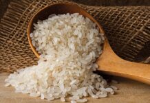 Pirinç, dünya nüfusunun yarısından fazlası için temel besin kaynağı olarak kabul ediliyor. Asya’dan Afrika’ya, Amerika’dan Avrupa’ya kadar geniş bir coğrafyada tüketilen Pirinç, yalnızca bir gıda ürünü değil; aynı zamanda kültürel, ekonomik ve stratejik bir değere sahip. Milyarlarca insanın günlük kalori ihtiyacının önemli bir bölümünü karşılayan pirinç, küresel Gıda Güvenliği politikalarının da merkezinde yer alıyor. Konulu bir haber görseli.