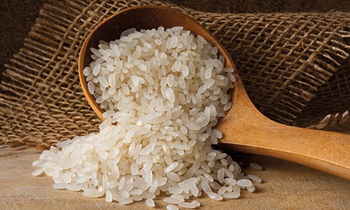 Pirinç, dünya nüfusunun yarısından fazlası için temel besin kaynağı olarak kabul ediliyor. Asya’dan Afrika’ya, Amerika’dan Avrupa’ya kadar geniş bir coğrafyada tüketilen Pirinç, yalnızca bir gıda ürünü değil; aynı zamanda kültürel, ekonomik ve stratejik bir değere sahip. Milyarlarca insanın günlük kalori ihtiyacının önemli bir bölümünü karşılayan pirinç, küresel Gıda Güvenliği politikalarının da merkezinde yer alıyor. Konulu bir haber görseli.