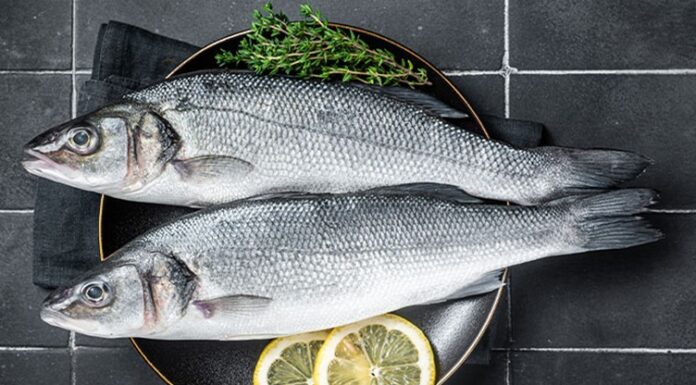 Deniz ürünleri arasında beyaz eti, hafif aroması ve çok yönlü kullanımıyla öne çıkan levrek, Türkiye’de en çok tercih edilen balık türlerinden biri olmaya devam ediyor. Hem restoran menülerinde hem de ev mutfaklarında sıkça yer bulan bu değerli balık, özellikle sağlıklı beslenmeye ilgi duyan tüketicilerin gözdesi haline geldi. Son yıllarda artan gastronomi merakı, televizyon programları ve sosyal medyada paylaşılan tarifler, levrek tüketimini daha da yaygınlaştırdı. Konulu bir haber görseli.