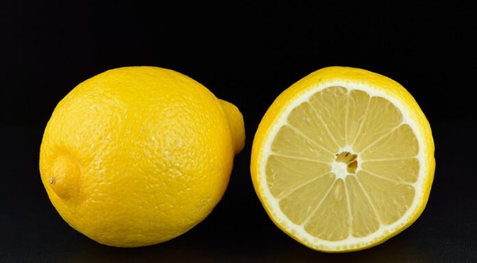 Limonun Akdeniz Işığında Şekillenen Yolculuğu Ferahlık Ve Doğallığın Simgesi Akdeniz ikliminin en belirgin meyvelerinden biri olan limon, keskin aroması ve ferahlatıcı tadıyla yüzyıllardır sofralarda kendine yer bulmaktadır. Yalnızca mutfakların vazgeçilmez bir tamamlayıcısı değil, aynı zamanda tarım, kültür ve günlük yaşamın önemli bir parçası olan limon, farklı kullanım alanlarıyla dikkat çeker. Günümüzde sağlıklı beslenme eğilimlerinin güçlenmesiyle birlikte limon tüketimi, geleneksel alışkanlıkların ötesine geçerek modern yaşamın ritmine uyum sağlamıştır. Konulu bir haber görseli.