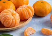 Kış aylarının en sevilen meyvelerinden biri olan mandalina, hoş kokusu, kolay soyulan yapısı ve ferahlatıcı tadıyla her yaştan insanın günlük yaşamında önemli bir yer tutmaktadır. Akdeniz ikliminin karakteristik ürünlerinden biri olan mandalina, yalnızca bir meyve olarak değil; aynı zamanda sağlık, tarım ve kültürle iç içe geçmiş güçlü bir değer olarak öne çıkmaktadır. Son yıllarda sağlıklı beslenme bilincinin artmasıyla birlikte mandalina tüketimi, hem geleneksel sofralarda hem de modern yaşamın pratik beslenme alışkanlıklarında daha görünür hale gelmiştir. Konulu bir haber görseli.