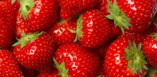 Çilek, rengi, kokusu ve tadıyla yalnızca bir meyve olmanın ötesinde, kültürel ve ekonomik anlamlar taşıyan özel bir ürün olarak dikkat çekiyor. Türkiye’de özellikle ilkbahar ve yaz aylarında tezgâhları süsleyen çilek, hem taze tüketimi hem de farklı kullanım alanlarıyla geniş bir kitleye hitap ediyor. Besin değeri yüksek yapısı, aromatik tadı ve görsel çekiciliği sayesinde sofralarda önemli bir yer edinen bu meyve, aynı zamanda tarımsal üretimde de stratejik bir rol üstleniyor. Konulu bir haber görseli.