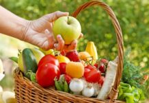 Günümüz dünyasında sağlıklı yaşam arayışı giderek artarken, beslenme alışkanlıkları da bu arayışın merkezinde yer alıyor. Özellikle doğal ve dengeli bir yaşam sürmek isteyen bireyler, gıdaların yalnızca içeriğine değil, hangi dönemde tüketildiğine de dikkat etmeye başladı. Bu noktada mevsimsel beslenme, hem sağlık hem de çevresel sürdürülebilirlik açısından öne çıkan bir yaklaşım olarak değerlendiriliyor. Doğanın sunduğu ürünleri kendi zamanında tüketmek, insan vücudunun ihtiyaçlarıyla doğanın döngüsü arasında güçlü bir uyum kurulmasını sağlıyor. Konulu bir haber görseli.