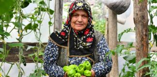 Organik Sebzeler Doğal Beslenmenin Yükselen Değeri Son yıllarda sağlıklı yaşam arayışının artmasıyla birlikte organik sebzeler gıda tercihlerinde çok daha görünür hale geldi. Tüketiciler artık sadece doyurucu değil, aynı zamanda doğaya ve insan sağlığına zarar vermeyen ürünlere yöneliyor. Bu yönelim, tarım anlayışını da kökten değiştirirken, kimyasal girdilerden uzak üretim modellerini ön plana çıkarıyor. Özellikle şehir hayatının getirdiği hızlı tüketim alışkanlıkları, insanları daha bilinçli seçimler yapmaya itiyor. Konulu bir haber görseli.