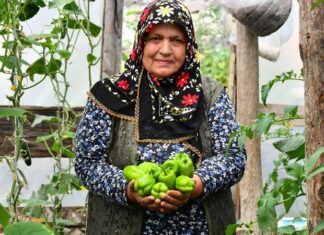 Son yıllarda sağlıklı yaşam arayışının artmasıyla birlikte organik sebzeler gıda tercihlerinde çok daha görünür hale geldi. Tüketiciler artık sadece doyurucu değil, aynı zamanda doğaya ve insan sağlığına zarar vermeyen ürünlere yöneliyor. Bu yönelim, tarım anlayışını da kökten değiştirirken, kimyasal girdilerden uzak üretim modellerini ön plana çıkarıyor. Özellikle şehir hayatının getirdiği hızlı tüketim alışkanlıkları, insanları daha bilinçli seçimler yapmaya itiyor. Konulu bir haber görseli.