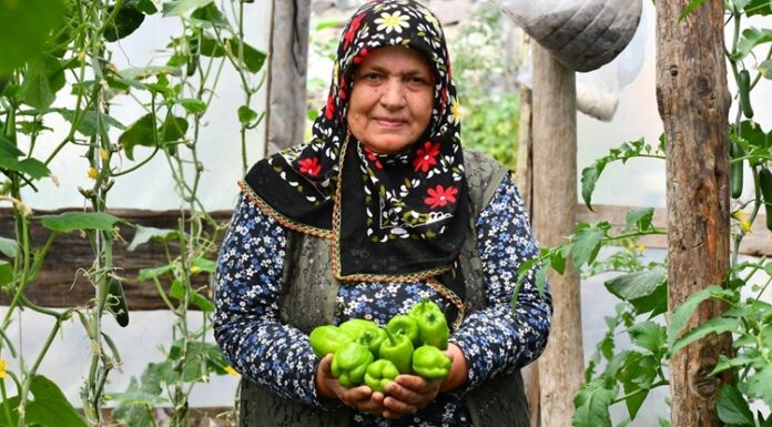 Son yıllarda sağlıklı yaşam arayışının artmasıyla birlikte organik sebzeler gıda tercihlerinde çok daha görünür hale geldi. Tüketiciler artık sadece doyurucu değil, aynı zamanda doğaya ve insan sağlığına zarar vermeyen ürünlere yöneliyor. Bu yönelim, tarım anlayışını da kökten değiştirirken, kimyasal girdilerden uzak üretim modellerini ön plana çıkarıyor. Özellikle şehir hayatının getirdiği hızlı tüketim alışkanlıkları, insanları daha bilinçli seçimler yapmaya itiyor. Konulu bir haber görseli.