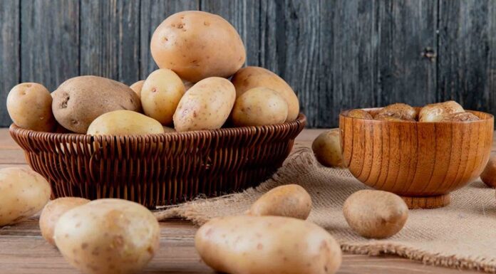 Patatesin Sofralardaki Gücü Küresel Bir Gıdanın Yükselen Değeri Dünya genelinde en çok tüketilen temel gıdalardan biri olan patates, hem ekonomik erişilebilirliği hem de çok yönlü kullanımıyla mutfakların vazgeçilmezleri arasında yer alıyor. Kökeni Güney Amerika’ya dayanan patates, yüzyıllar içinde Avrupa’dan Asya’ya, Afrika’dan Orta Doğu’ya kadar yayılarak küresel bir besin haline geldi. Bugün kızartmadan haşlamaya, pürelerden fırın yemeklerine kadar sayısız tarifte kullanılan patates, besin değeri ve doyuruculuğuyla da öne çıkıyor. Konulu bir haber görseli.