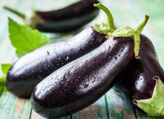 Akdeniz mutfağının vazgeçilmez sebzelerinden biri olan patlıcan, hem lezzeti hem de besin değerleriyle sofraların yıldızı haline gelmiştir. Mor rengi ve kendine has aromasıyla öne çıkan patlıcan, hem sıcak hem de soğuk yemeklerde geniş bir kullanım alanına sahiptir. Türkiye mutfağında özellikle zeytinyağlılar, kızartmalar ve dolmalar gibi çeşitli tariflerde kullanılan patlıcan, sağlıklı beslenme trendlerinin etkisiyle de yeniden değer kazanıyor. Tüm haber detayı için tıklayınız.