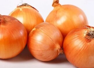 Mutfakların en temel bileşenlerinden biri olan soğan, hem lezzet verici özelliği hem de sağlık açısından sunduğu faydalarla dünya genelinde en çok tüketilen sebzeler arasında yer alıyor. Antik çağlardan bu yana kullanılan soğan, bugün modern mutfakların da vazgeçilmezleri arasında bulunuyor. Çiğ olarak salatalarda, pişmiş halde yemeklerde, çorbalarda ve soslarda kullanılan soğan, hemen her kültürde kendine özgü bir yer edinmiş durumda. Konulu bir haber görseli.