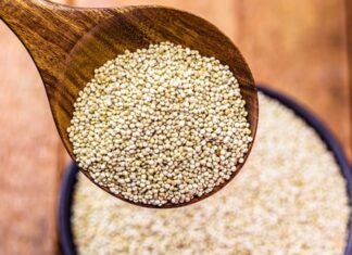 Son yıllarda sağlıklı beslenme trendlerinin etkisiyle kinoa, dünya genelinde hızla popülerleşen ürünlerden biri haline geldi. Yüksek protein içeriği, glutensiz yapısı ve zengin mineral profiliyle öne çıkan Kinoa, yalnızca bir tahıl alternatifi değil, aynı zamanda fonksiyonel bir gıda olarak da değerlendiriliyor. Vegan ve vejetaryen beslenme modellerinde önemli bir yer edinen kinoa, sporculardan diyet yapanlara kadar geniş bir kitle tarafından tercih ediliyor. Konulu bir haber görseli.