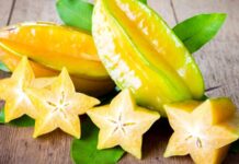 Son yıllarda beslenme alışkanlıklarının çeşitlenmesiyle birlikte tropikal meyveler, sofralarda daha görünür hale gelmeye başladı. Uzak coğrafyalardan gelen bu meyveler, farklı aromaları ve zengin besin içerikleriyle dikkat çekiyor. Özellikle büyük şehirlerde artan talep, tropikal meyveleri yalnızca lüks bir ürün olmaktan çıkararak günlük beslenmenin bir parçası haline getiriyor. Konulu bir haber görseli.