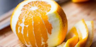 Beslenme alışkanlıkları her geçen gün daha bilinçli hale gelirken, sofralarda renk çeşitliliği de önemli bir kriter olarak öne çıkıyor. Özellikle turuncu sebzeler, hem canlı görünümleri hem de mutfakta sundukları kullanım alanlarıyla dikkat çekiyor. Havuç, balkabağı, tatlı patates ve turuncu biber gibi ürünler, son yıllarda sağlıklı beslenme anlayışının sembollerinden biri haline gelmiş durumda. Konulu bir haber görseli.