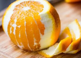 Beslenme alışkanlıkları her geçen gün daha bilinçli hale gelirken, sofralarda renk çeşitliliği de önemli bir kriter olarak öne çıkıyor. Özellikle turuncu sebzeler, hem canlı görünümleri hem de mutfakta sundukları kullanım alanlarıyla dikkat çekiyor. Havuç, balkabağı, tatlı patates ve turuncu biber gibi ürünler, son yıllarda sağlıklı beslenme anlayışının sembollerinden biri haline gelmiş durumda. Konulu bir haber görseli.