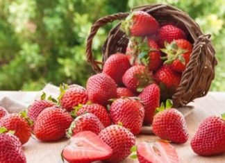 Sıcak havaların kendini hissettirmesiyle birlikte beslenme alışkanlıkları da değişmeye başlıyor. Kışın daha ağır ve sıcak yemeklere yönelen tüketiciler, yaz aylarında ferahlatıcı ve hafif gıdaları tercih ediyor. Bu dönemde öne çıkan ürünlerin başında ise yaz meyveleri geliyor. Renkli görünümleri, doğal aromaları ve serinletici etkileriyle yaz meyveleri, hem mutfaklarda hem de günlük atıştırmalıklarda önemli bir yer tutuyor. Konulu bir haber görseli.