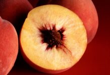 Şeftali, yaz aylarının gelişiyle birlikte pazarlarda en çok dikkat çeken meyvelerden biri olarak öne çıkıyor. Kadifemsi kabuğu, sulu yapısı ve dengeli tatlı aromasıyla şeftali, hem taze tüketimde hem de mutfak kültüründe önemli bir yere sahip. Türkiye’de yaz mevsimiyle özdeşleşen bu meyve, yalnızca lezzetiyle değil, üretimden tüketime uzanan geniş etkisiyle de dikkat çekiyor. Konulu bir haber görseli.