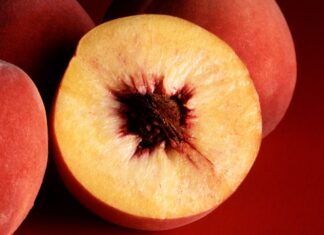 Şeftali, yaz aylarının gelişiyle birlikte pazarlarda en çok dikkat çeken meyvelerden biri olarak öne çıkıyor. Kadifemsi kabuğu, sulu yapısı ve dengeli tatlı aromasıyla şeftali, hem taze tüketimde hem de mutfak kültüründe önemli bir yere sahip. Türkiye’de yaz mevsimiyle özdeşleşen bu meyve, yalnızca lezzetiyle değil, üretimden tüketime uzanan geniş etkisiyle de dikkat çekiyor. Konulu bir haber görseli.