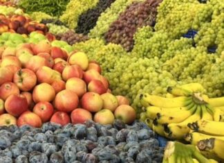Son yıllarda gıda tercihleri yalnızca sağlık üzerinden değil, aynı zamanda kültürel ve çevresel farkındalık üzerinden de şekillenmeye başladı. Bu noktada yerel meyveler, hem doğal beslenmenin hem de yerel üretim kültürünün en önemli temsilcileri arasında yer alıyor. Bulunduğu bölgenin iklimi ve toprağına uyum sağlamış meyveler, uzun yılların birikimiyle günümüze ulaşan doğal bir miras olarak kabul ediliyor. Konulu bir haber görseli.