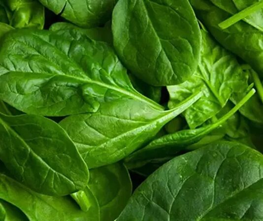 Günümüzde beslenme alışkanlıklarının yeniden şekillenmesiyle birlikte sofralarda daha doğal ve taze ürünlere yer açılıyor. Bu dönüşümün en önemli unsurlarından biri olan yeşil yapraklı sebzeler, hem geleneksel mutfağın vazgeçilmezleri arasında yer alıyor hem de modern beslenme anlayışının temel taşlarından biri olarak görülüyor. Pazarlarda, manavlarda ve market raflarında her mevsim farklı çeşitleriyle karşımıza çıkan bu sebzeler, günlük beslenme düzeninde giderek daha fazla tercih ediliyor. Konulu bir haber görseli.