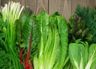 Günlük beslenme alışkanlıklarında sadeleşme ve doğala yönelme eğilimi giderek güçlenirken, yeşillik ve otlar bu dönüşümün merkezinde yer alıyor. Sofralarda daha fazla yer bulmaya başlayan bu ürünler, yalnızca lezzet unsuru olarak değil, aynı zamanda sağlıklı yaşamın temel bileşenleri olarak görülüyor. Doğadan doğrudan gelen bu besinler, minimal işlemle tüketildiği için besin değerlerini büyük ölçüde koruyor. Konulu bir haber görseli.