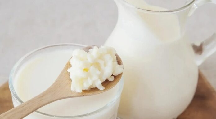 Yoğurt ve kefir, yüzyıllardır Anadolu mutfağının temel taşları arasında yer alırken günümüzde modern beslenme anlayışının da vazgeçilmez ürünleri haline geldi. Özellikle yoğurt ve kefir, doğal fermantasyon süreçleri sayesinde hem lezzet hem de besin değeri açısından öne çıkıyor. Son yıllarda sağlıklı yaşam trendlerinin yükselmesiyle birlikte bu iki fermente süt ürünü, sadece geleneksel sofralarda değil, sporcu beslenmesinden diyet listelerine kadar geniş bir alanda tüketiliyor. Konulu bir haber görseli.